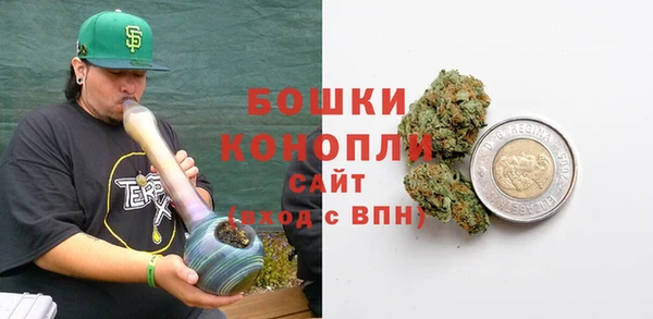 шишки Арсеньев
