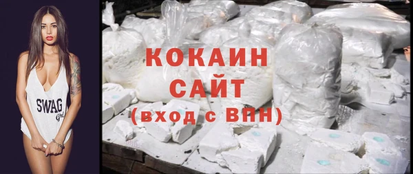 шишки Арсеньев