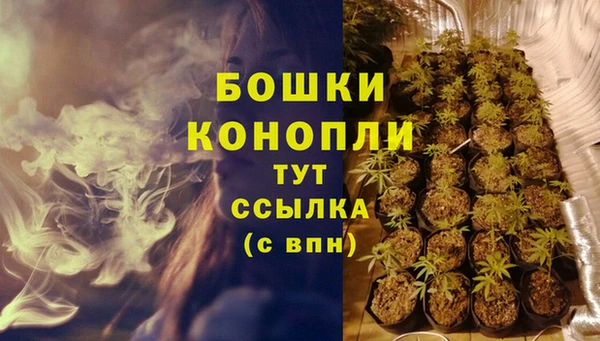 шишки Арсеньев