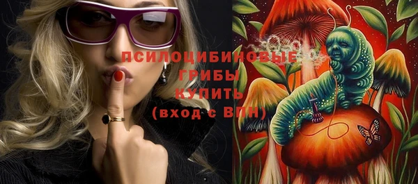 шишки Арсеньев