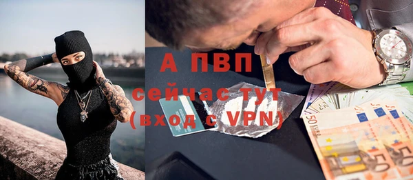 шишки Арсеньев