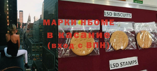 шишки Арсеньев